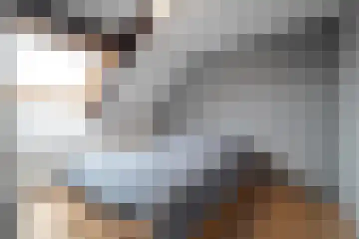 Gemeenelandsweg 9 Hippolytushoef thumbnail 23
