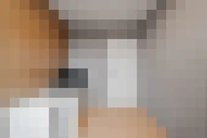 Gemeenelandsweg 9 Hippolytushoef thumbnail 26