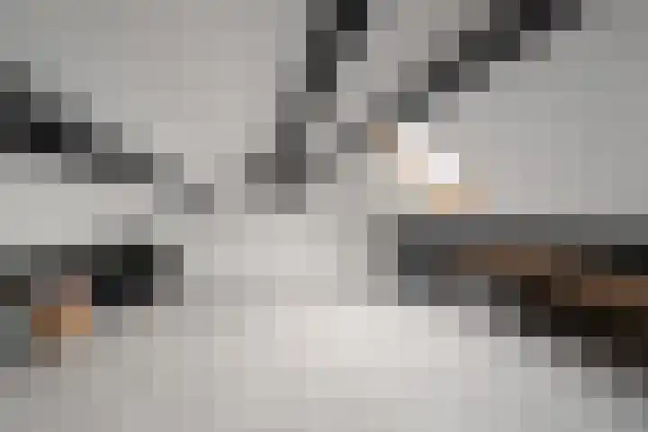 Gemeenelandsweg 9 Hippolytushoef thumbnail 27