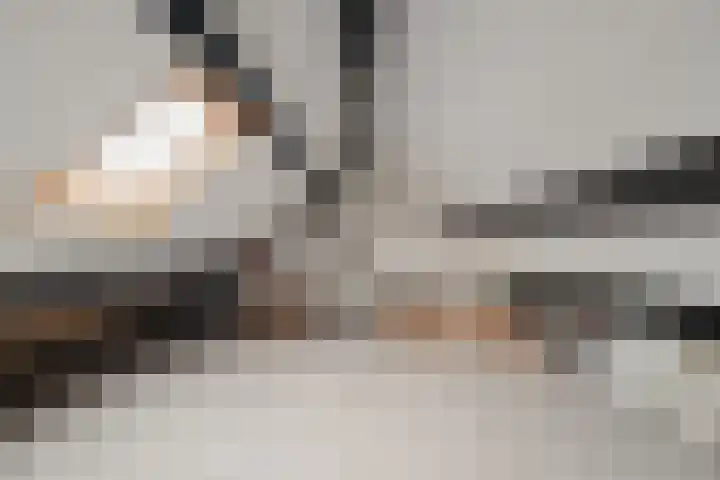 Gemeenelandsweg 9 Hippolytushoef thumbnail 28