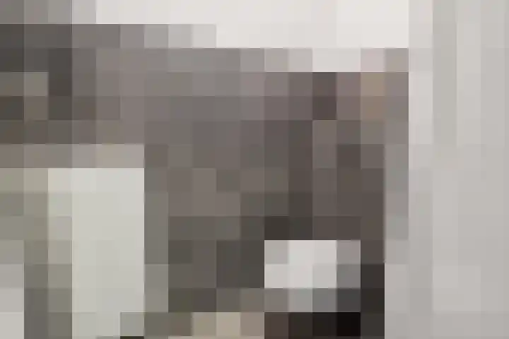 Gemeenelandsweg 9 Hippolytushoef thumbnail 5