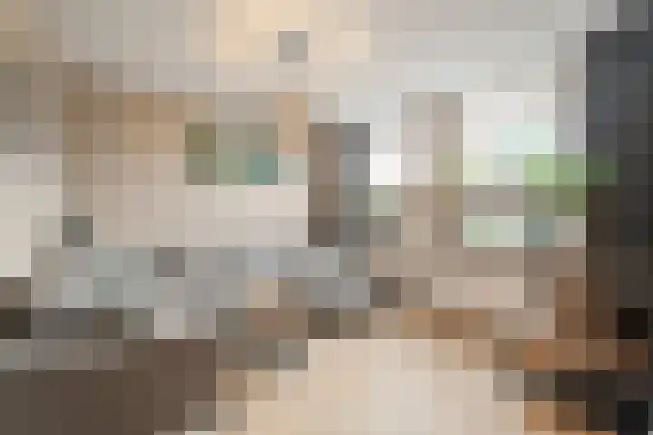 Gemeenelandsweg 9 Hippolytushoef thumbnail 7