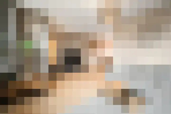 Gemeenelandsweg 9 Hippolytushoef thumbnail 8