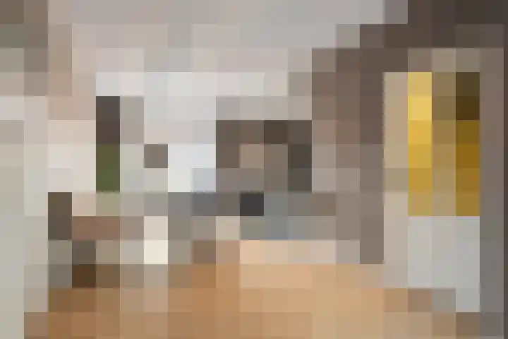 Gemeenelandsweg 9 Hippolytushoef thumbnail 9