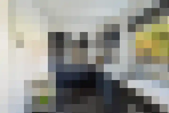 Gemeenlandsedijk Noord 7 Abbenbroek thumbnail 10