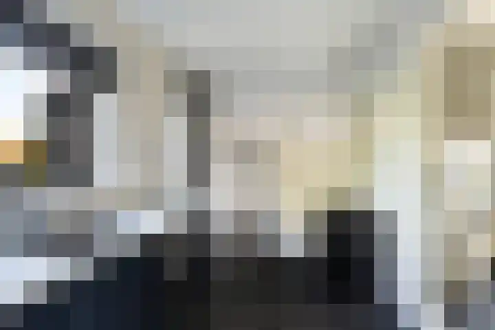 Gemeenlandsedijk Noord 7 Abbenbroek thumbnail 12