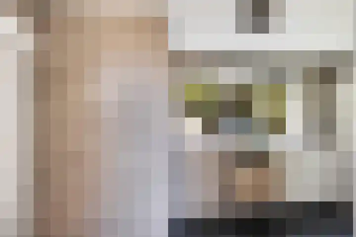 Gemeenlandsedijk Noord 7 Abbenbroek thumbnail 17