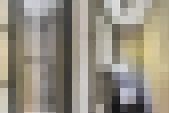 Gemeenlandsedijk Noord 7 Abbenbroek thumbnail 18