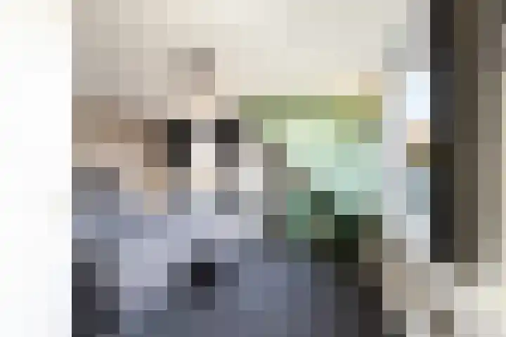 Gemeenlandsedijk Noord 7 Abbenbroek thumbnail 21