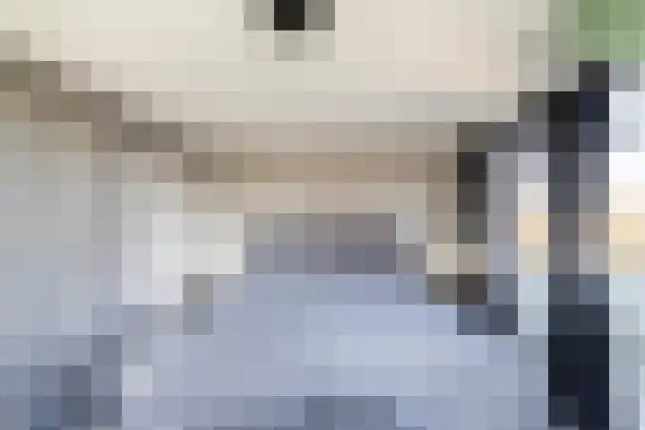 Gemeenlandsedijk Noord 7 Abbenbroek thumbnail 23