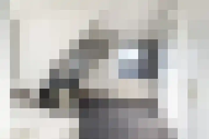 Gemeenlandsedijk Noord 7 Abbenbroek thumbnail 24
