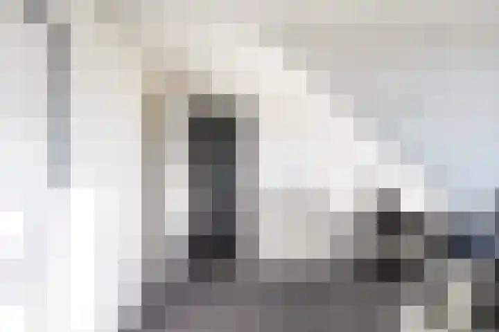 Gemeenlandsedijk Noord 7 Abbenbroek thumbnail 25