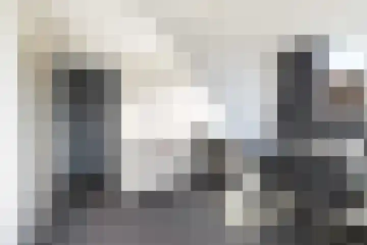 Gemeenlandsedijk Noord 7 Abbenbroek thumbnail 26