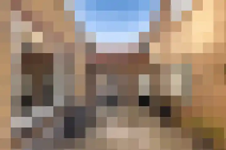 Gemeenlandsedijk Noord 7 Abbenbroek thumbnail 30