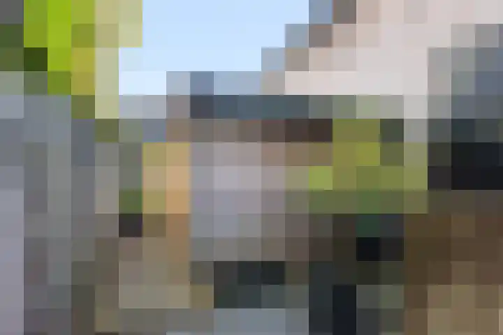 Gemeenlandsedijk Noord 7 Abbenbroek thumbnail 35