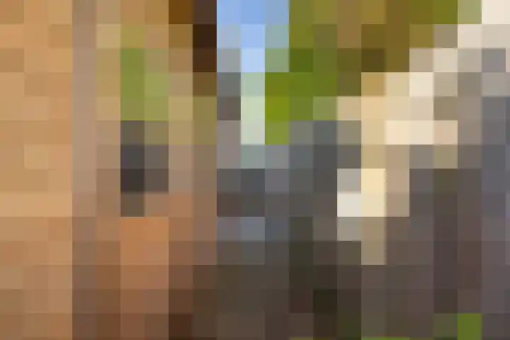 Gemeenlandsedijk Noord 7 Abbenbroek thumbnail 36