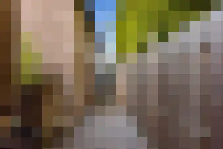 Gemeenlandsedijk Noord 7 Abbenbroek thumbnail 38