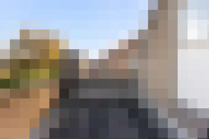 Gemeenlandsedijk Noord 7 Abbenbroek thumbnail 39
