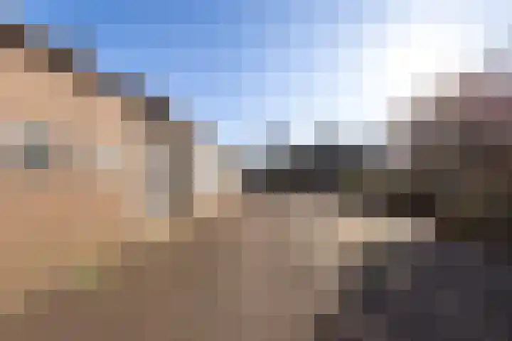 Gemeenlandsedijk Noord 7 Abbenbroek thumbnail 40