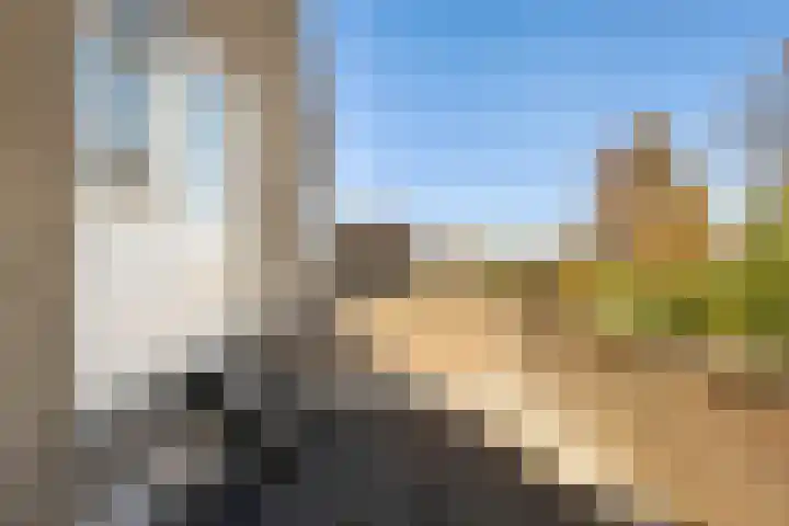 Gemeenlandsedijk Noord 7 Abbenbroek thumbnail 41