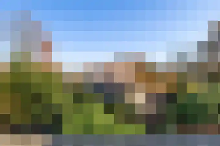 Gemeenlandsedijk Noord 7 Abbenbroek thumbnail 42