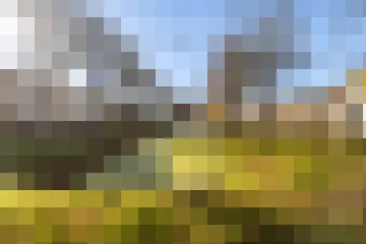 Gemeenlandsedijk Noord 7 Abbenbroek thumbnail 43