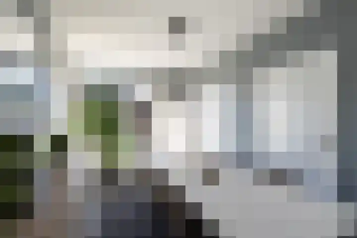 Gemeenlandsedijk Noord 7 Abbenbroek thumbnail 5