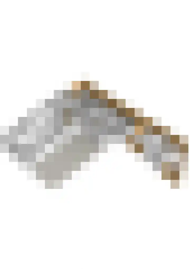 Gemeenlandsedijk Noord 7 Abbenbroek thumbnail 51
