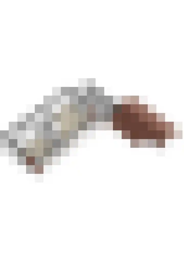 Gemeenlandsedijk Noord 7 Abbenbroek thumbnail 54