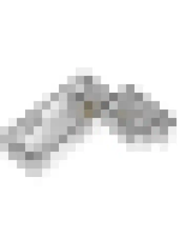 Gemeenlandsedijk Noord 7 Abbenbroek thumbnail 55