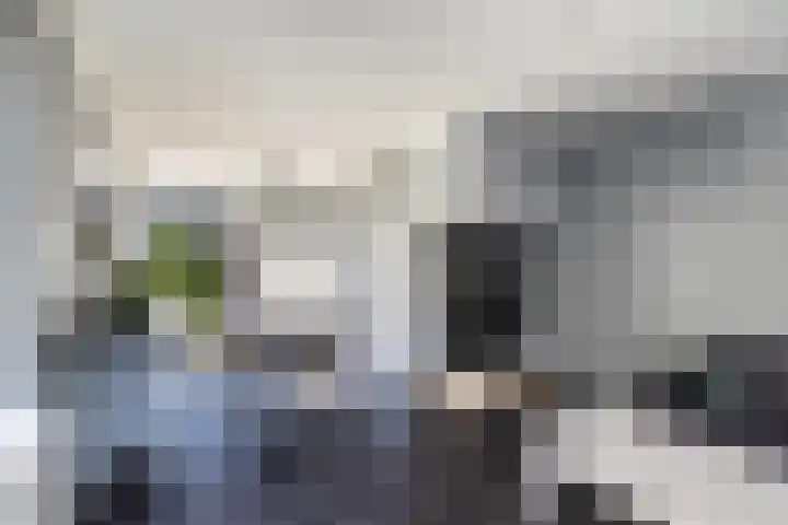 Gemeenlandsedijk Noord 7 Abbenbroek thumbnail 6