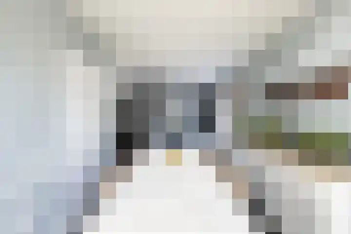 Gemeenlandsedijk Noord 7 Abbenbroek thumbnail 7