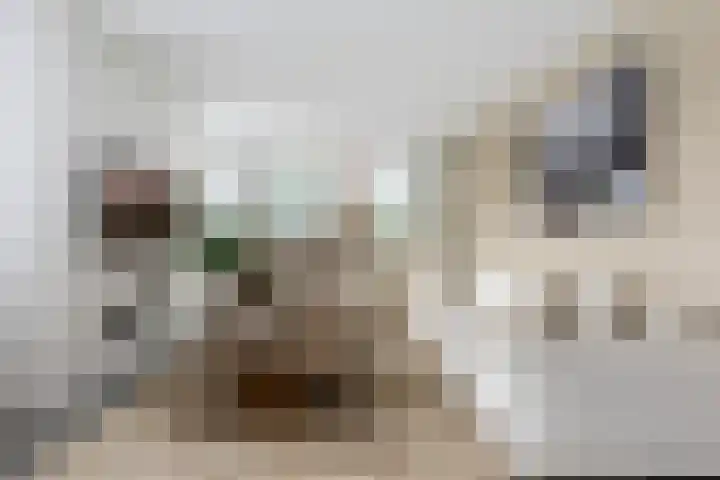 Gemeenlandsedijk Zuid 14 Abbenbroek thumbnail 10