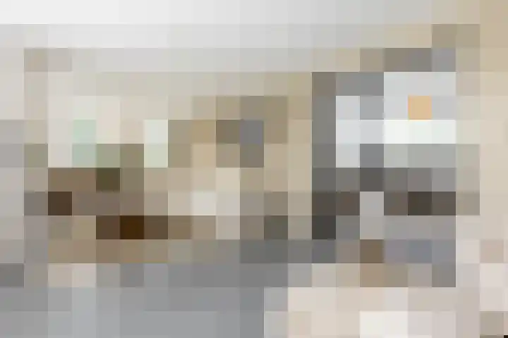Gemeenlandsedijk Zuid 14 Abbenbroek thumbnail 11