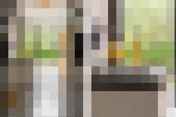 Gemeenlandsedijk Zuid 14 Abbenbroek thumbnail 13