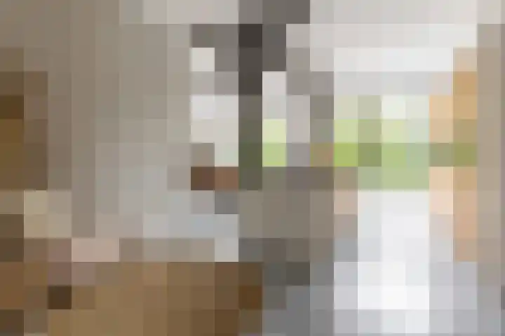Gemeenlandsedijk Zuid 14 Abbenbroek thumbnail 14