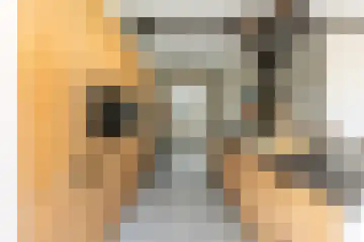 Gemeenlandsedijk Zuid 14 Abbenbroek thumbnail 17