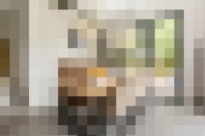 Gemeenlandsedijk Zuid 14 Abbenbroek thumbnail 19