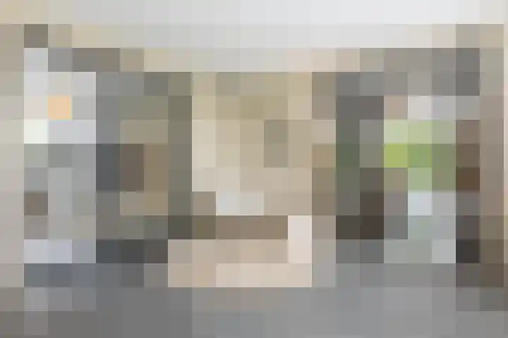 Gemeenlandsedijk Zuid 14 Abbenbroek thumbnail 21