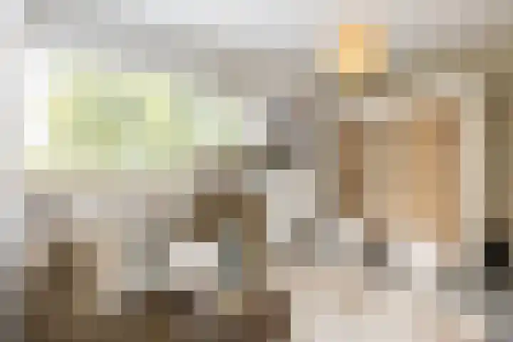 Gemeenlandsedijk Zuid 14 Abbenbroek thumbnail 22