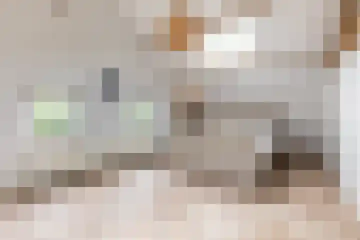 Gemeenlandsedijk Zuid 14 Abbenbroek thumbnail 30