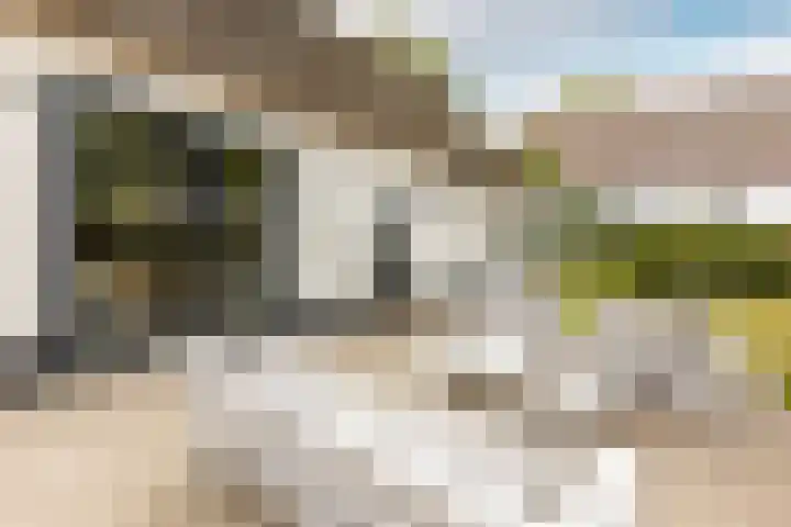 Gemeenlandsedijk Zuid 14 Abbenbroek thumbnail 42
