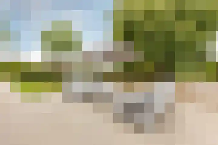 Gemeenlandsedijk Zuid 14 Abbenbroek thumbnail 43