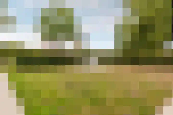 Gemeenlandsedijk Zuid 14 Abbenbroek thumbnail 44