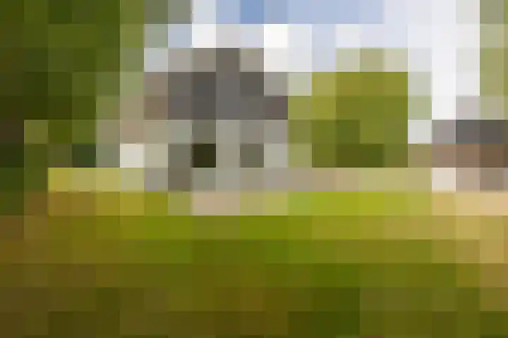Gemeenlandsedijk Zuid 14 Abbenbroek thumbnail 45