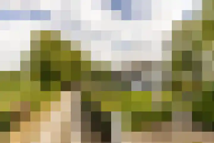 Gemeenlandsedijk Zuid 14 Abbenbroek thumbnail 5