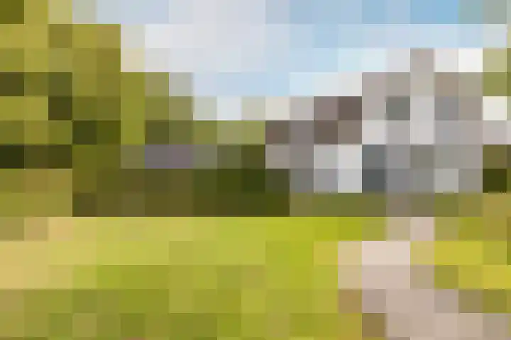 Gemeenlandsedijk Zuid 14 Abbenbroek thumbnail 53