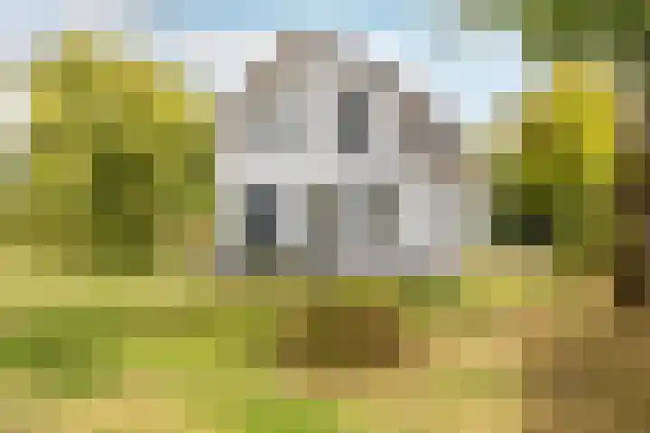 Gemeenlandsedijk Zuid 14 Abbenbroek thumbnail 54