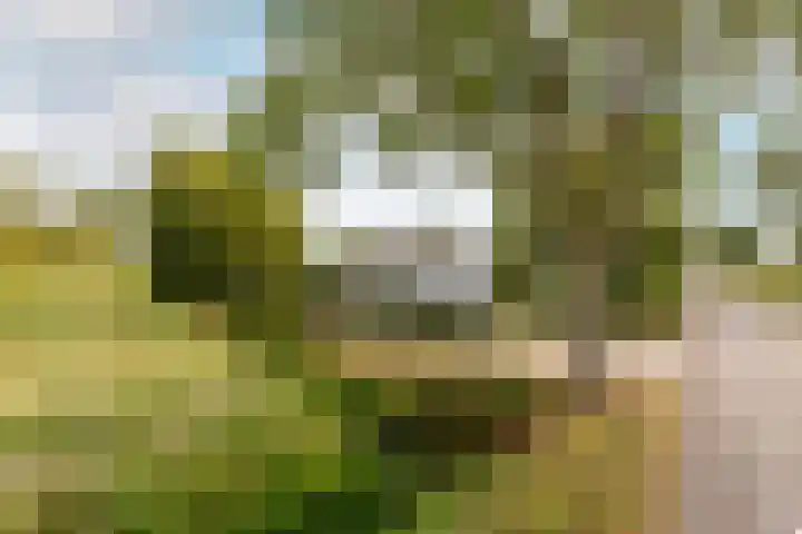 Gemeenlandsedijk Zuid 14 Abbenbroek thumbnail 55