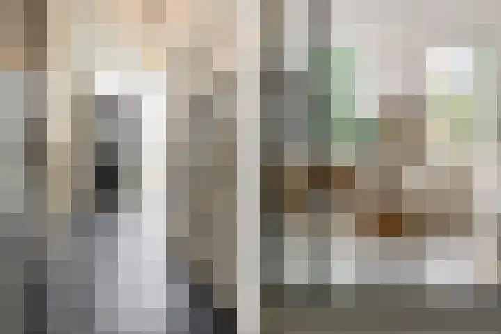 Gemeenlandsedijk Zuid 14 Abbenbroek thumbnail 7
